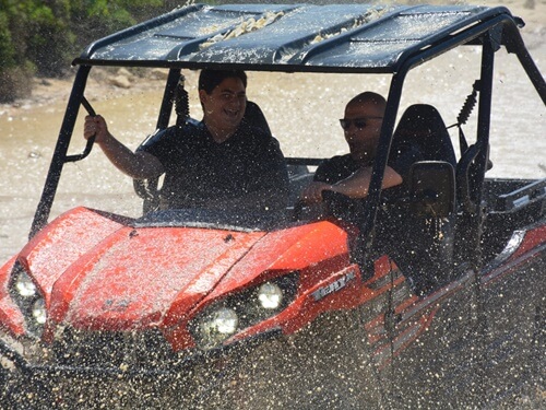 טרקטורוני נוף הורדים